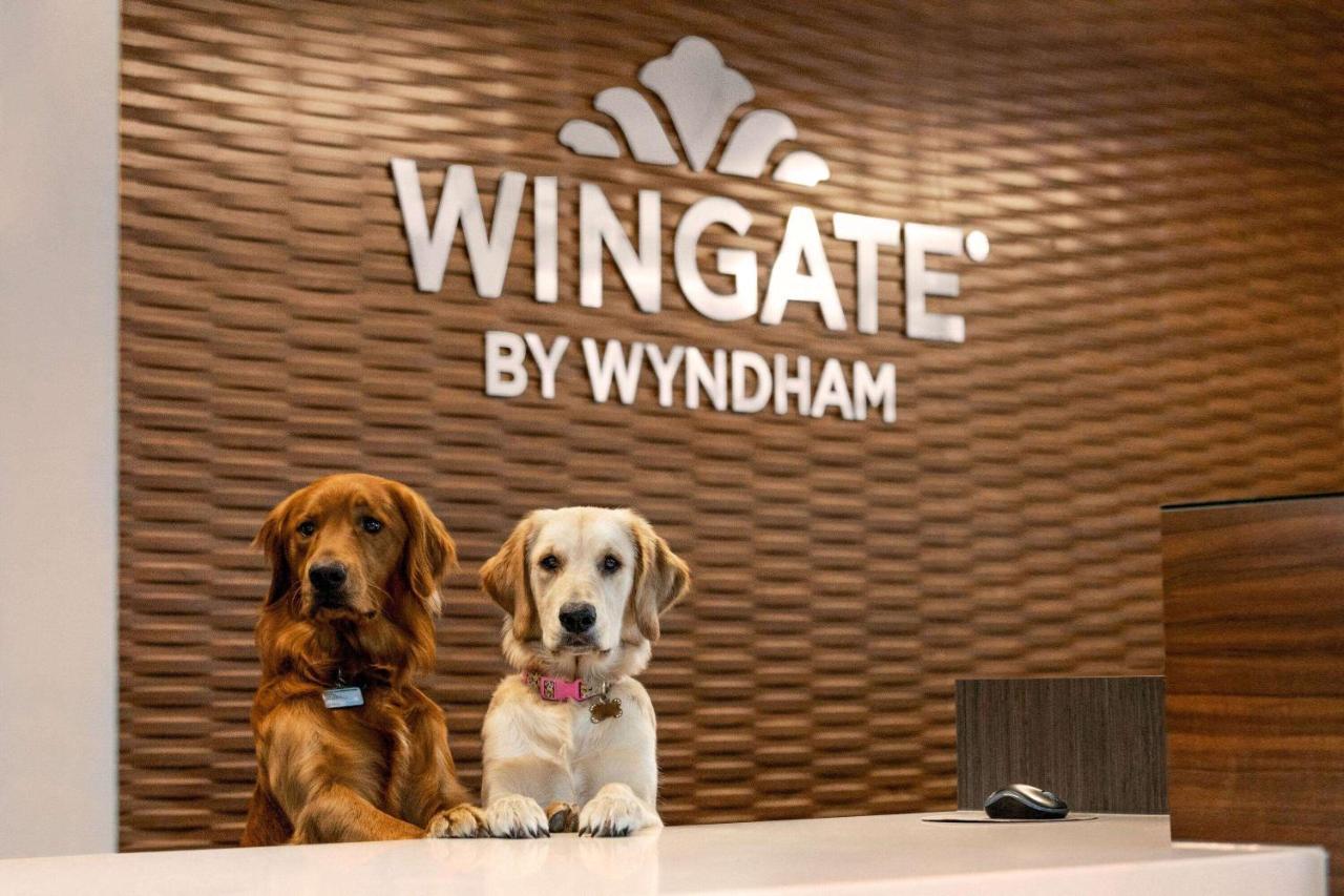 Wingate By Wyndham Lethbridge Hotel Exterior foto